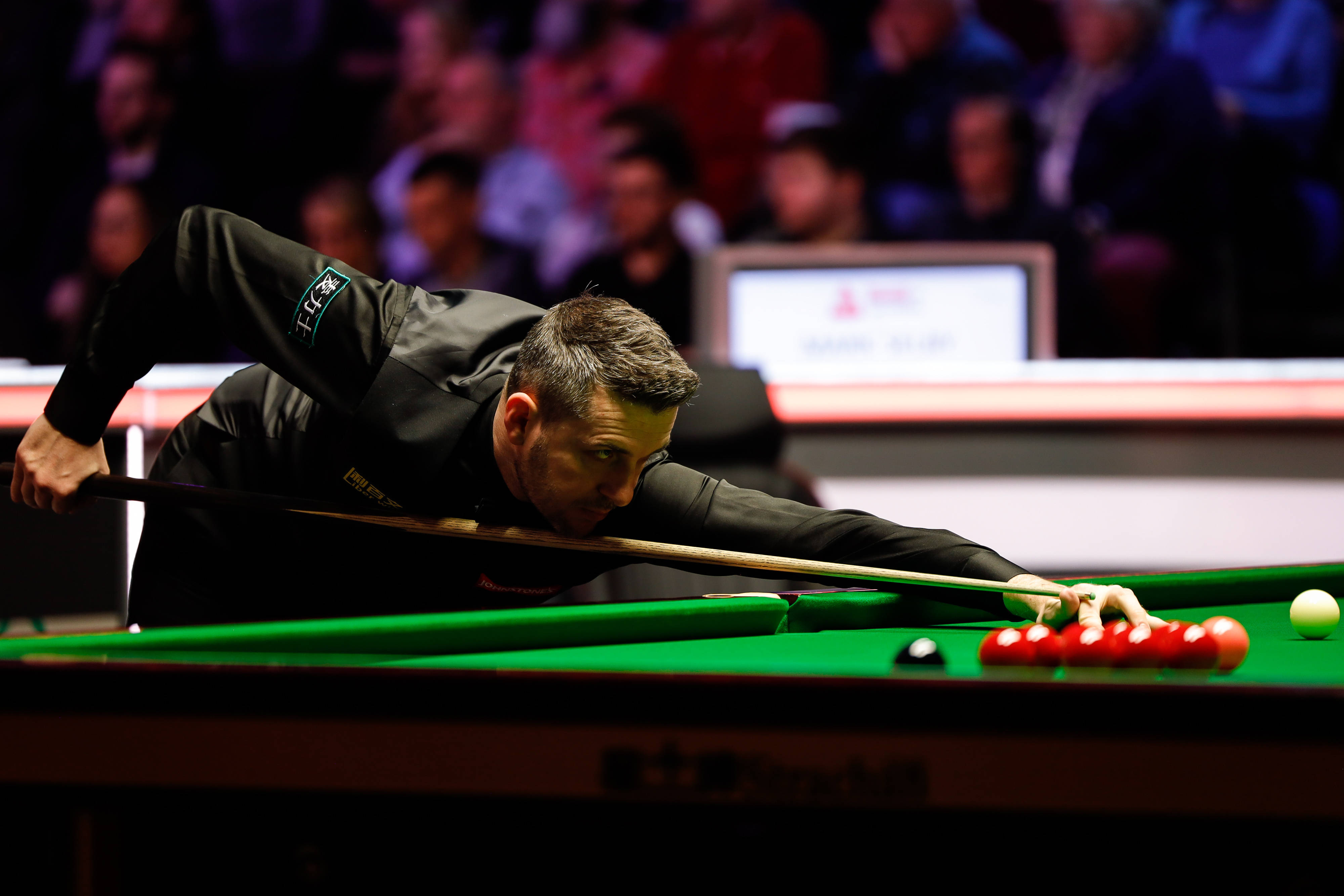 也使他有望 也使他有望