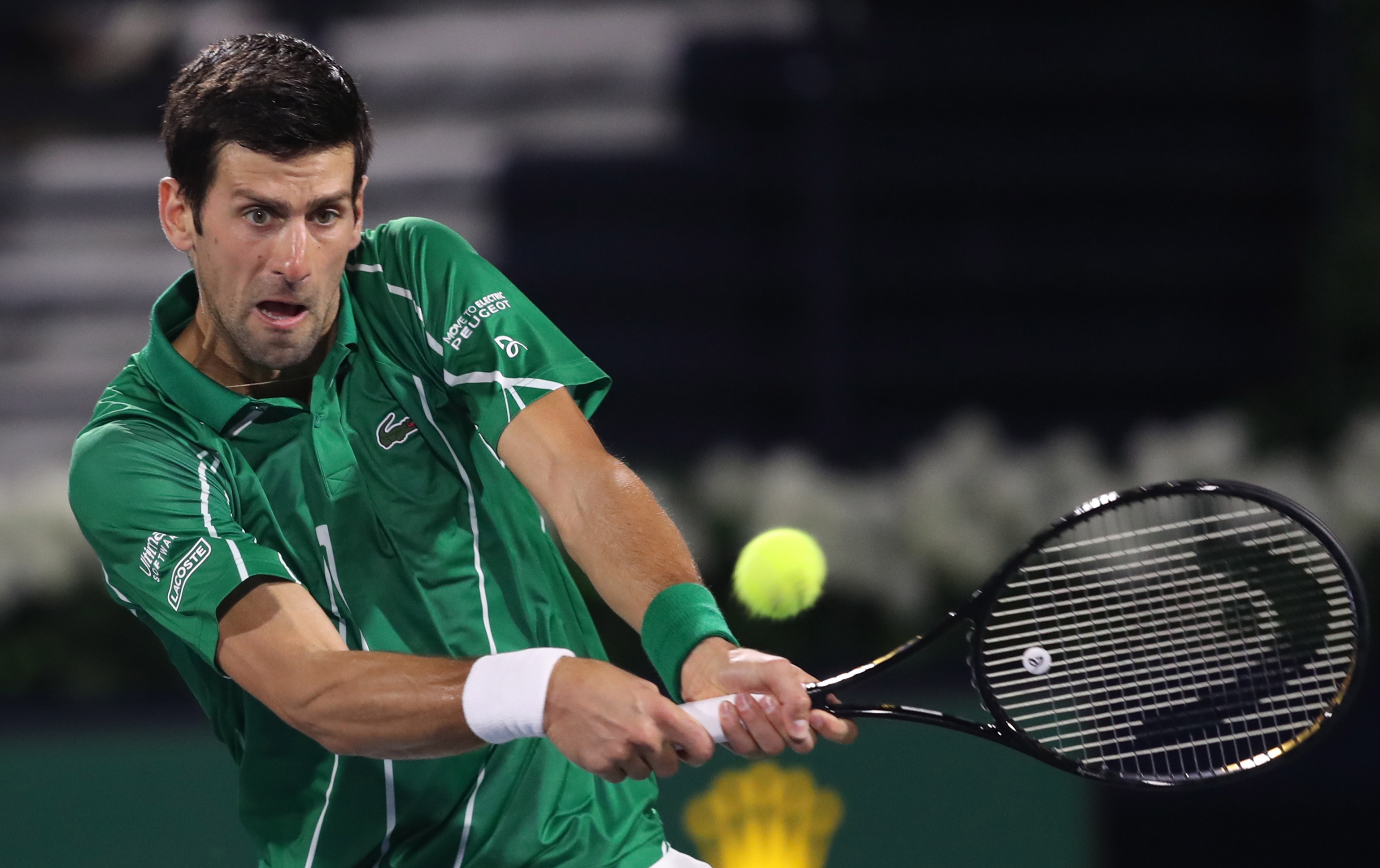 丁汉森林分 丁汉森林分