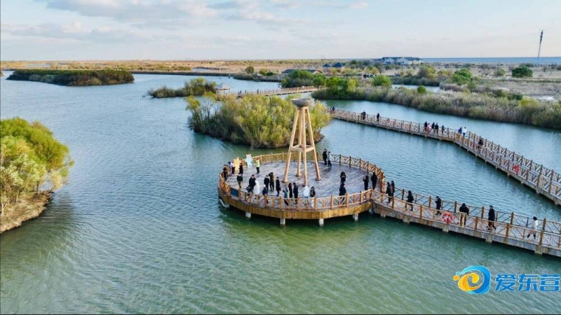 精细管理 精细管理