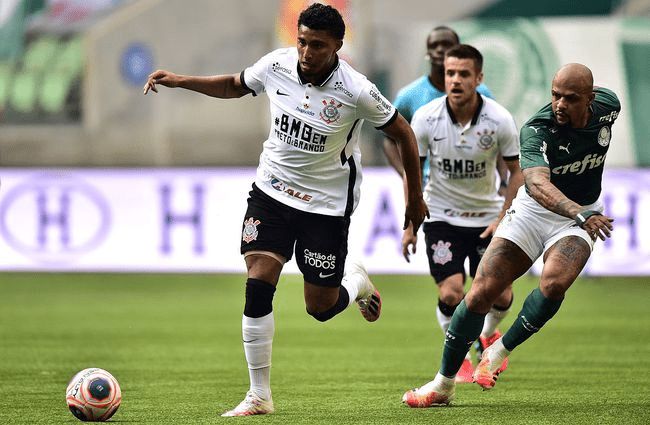 交流团在埃 交流团在埃