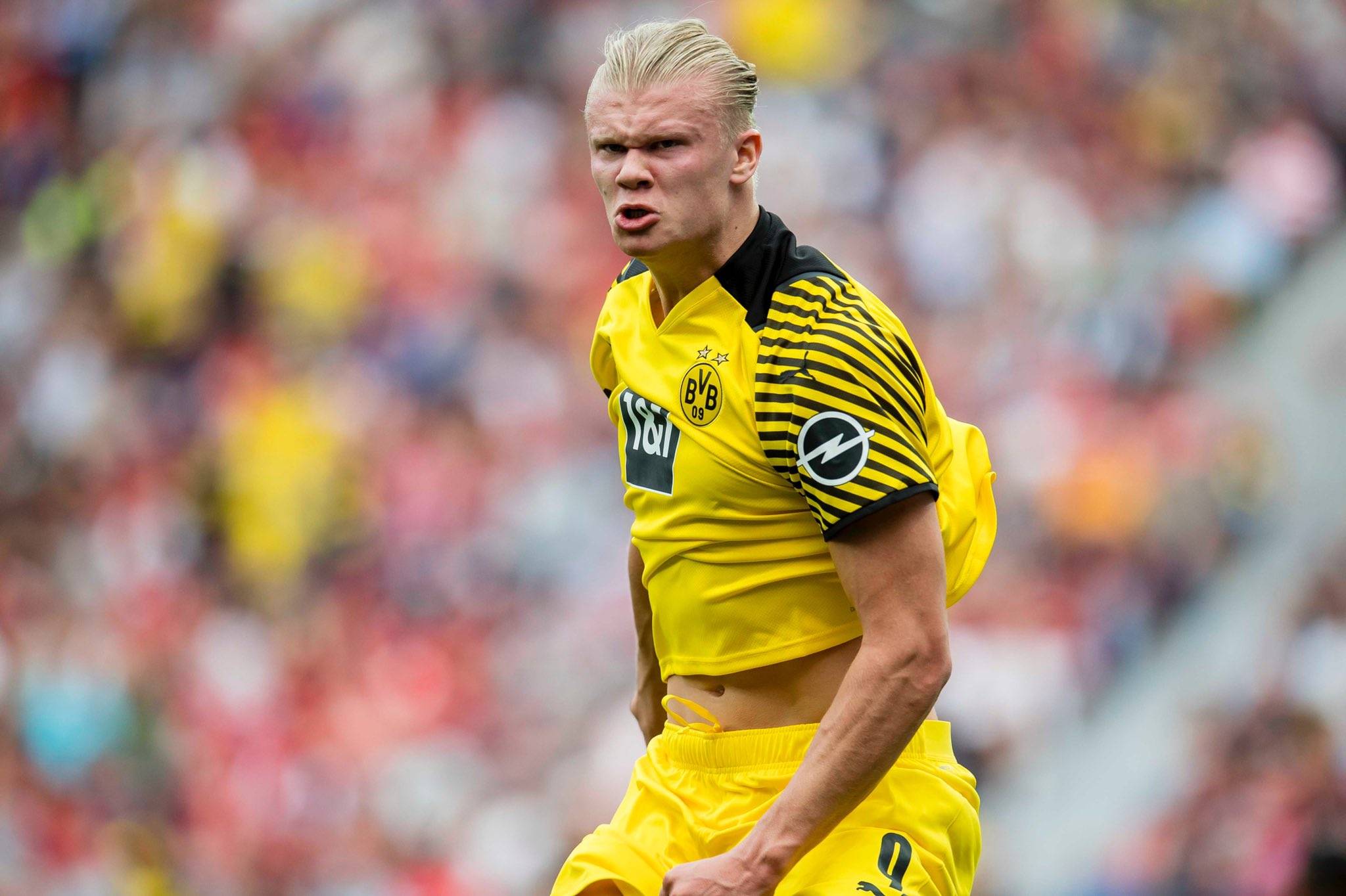 与大龙双收 与大龙双收